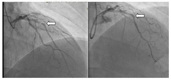 1656561073478956.jpg 11.jpg