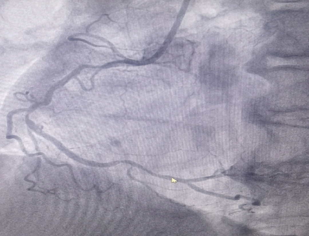 1680223404333814.png 1680223404333814.png