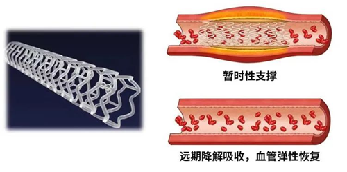 1691376818793850.png 8_副本.png