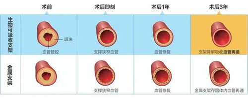 1691376827249878.png 9_副本.png